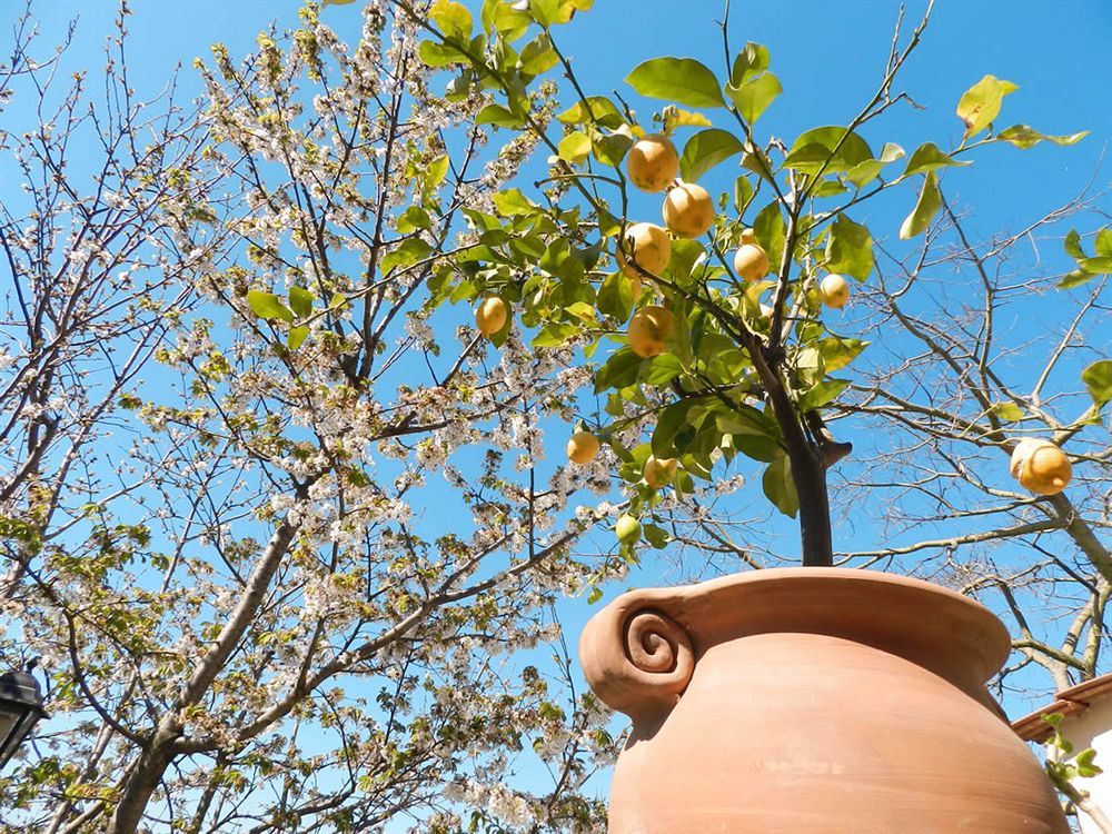 Bacio Del Sole B&B Positano Ngoại thất bức ảnh
